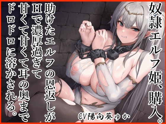奴隷エルフ姫、購入。のパッケージ画像