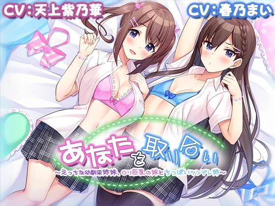 あなたを取り合い~えっちな幼馴染姉妹のパッケージ画像